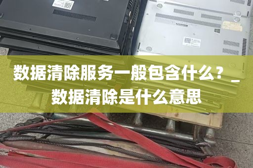 数据清除服务一般包含什么？_数据清除是什么意思